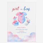 Acrylic Blue and Pink Acrylic Gender Reveal Invitation DSBGR14-2