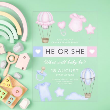 Light Pink Blue Cute He Or She Flyer Clear Gender Reveal Baby Shower Invitation DSBGR12-2
