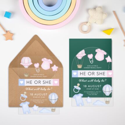 Light Pink Blue Cute He Or She Flyer Clear Gender Reveal Baby Shower Invitation DSBGR12