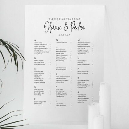 Simple Frosted Acrylic Wedding Seating Chart DSSC05